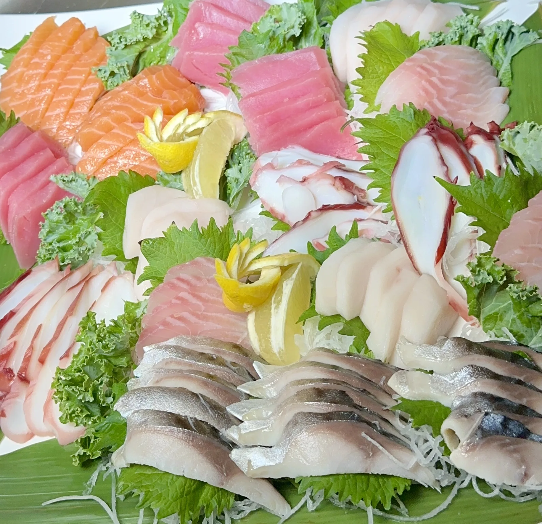 Fresh sashimi platter with salmon, tuna, octopus, and mackerel at Kumo Ultimate Sushi & Hibachi, Stamford CT